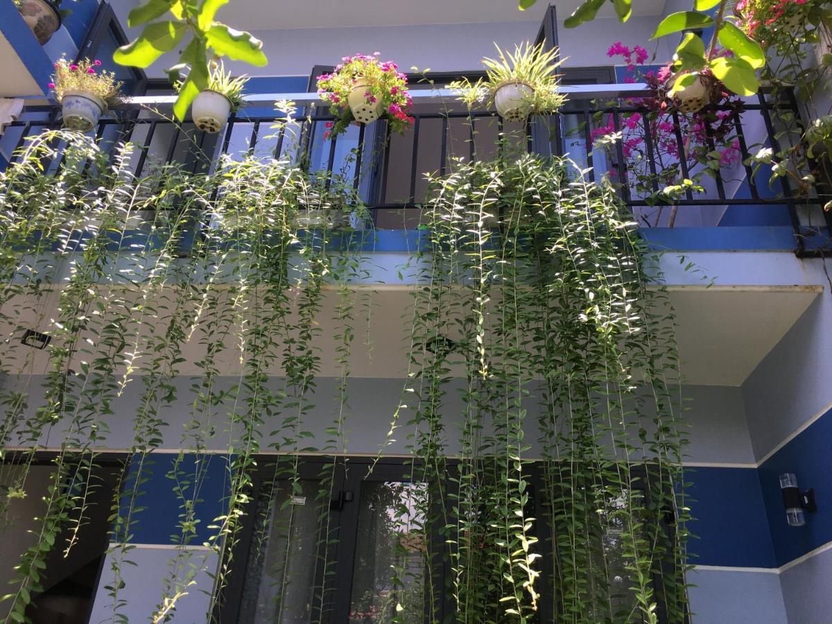 Cherry Garden Homestay Hoi An Exteriér fotografie