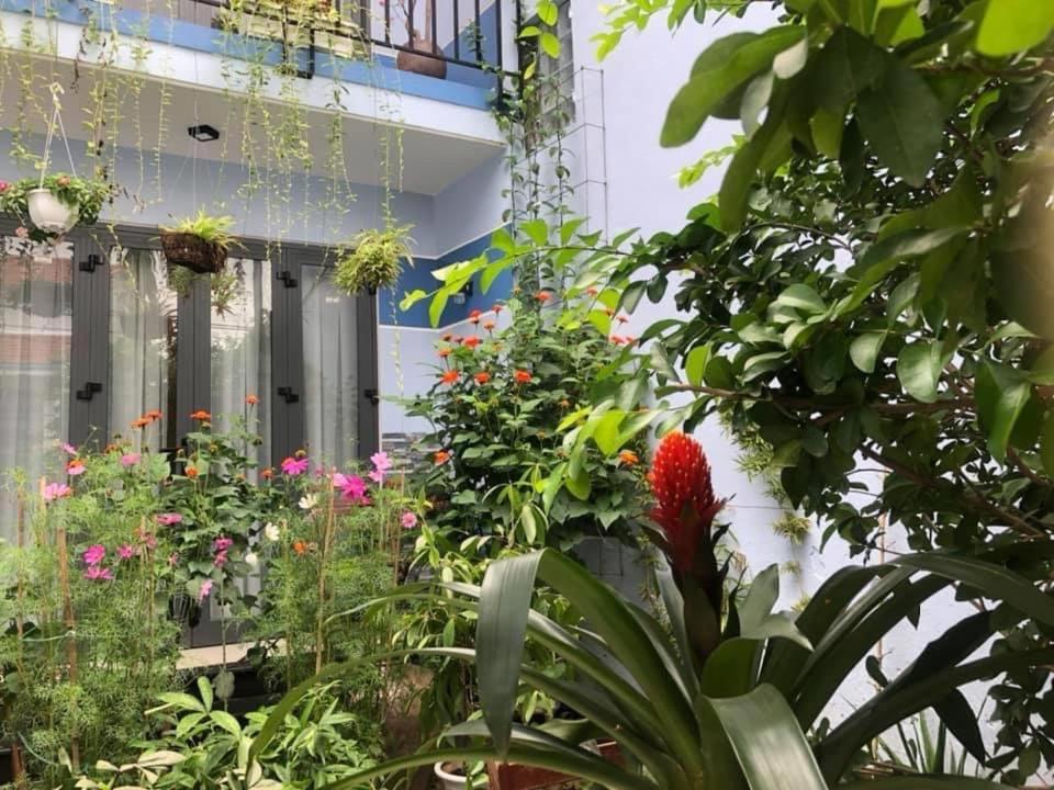 Cherry Garden Homestay Hoi An Exteriér fotografie