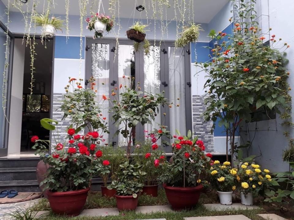 Cherry Garden Homestay Hoi An Exteriér fotografie