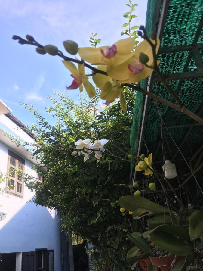 Cherry Garden Homestay Hoi An Exteriér fotografie