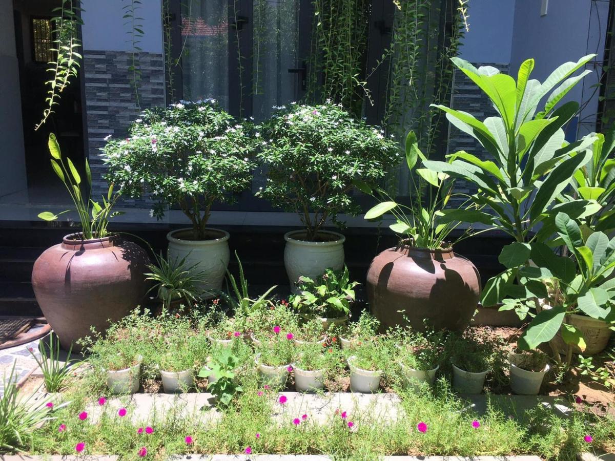 Cherry Garden Homestay Hoi An Exteriér fotografie