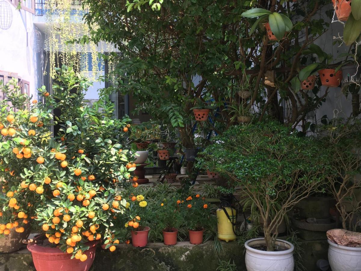 Cherry Garden Homestay Hoi An Exteriér fotografie